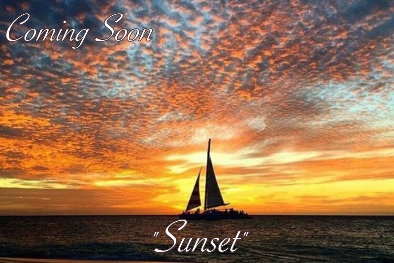 aruba-sunset-catamaran.jpg