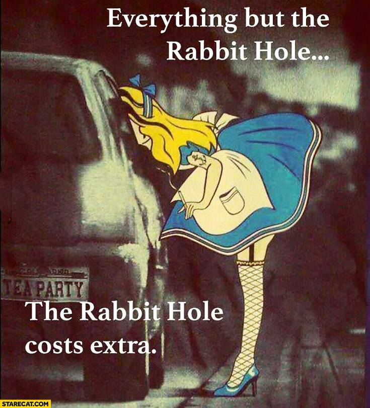 everything-but-the-rabbit-hole-the-rabbit-hole-costs-extra-alice-from-wonderland.jpeg