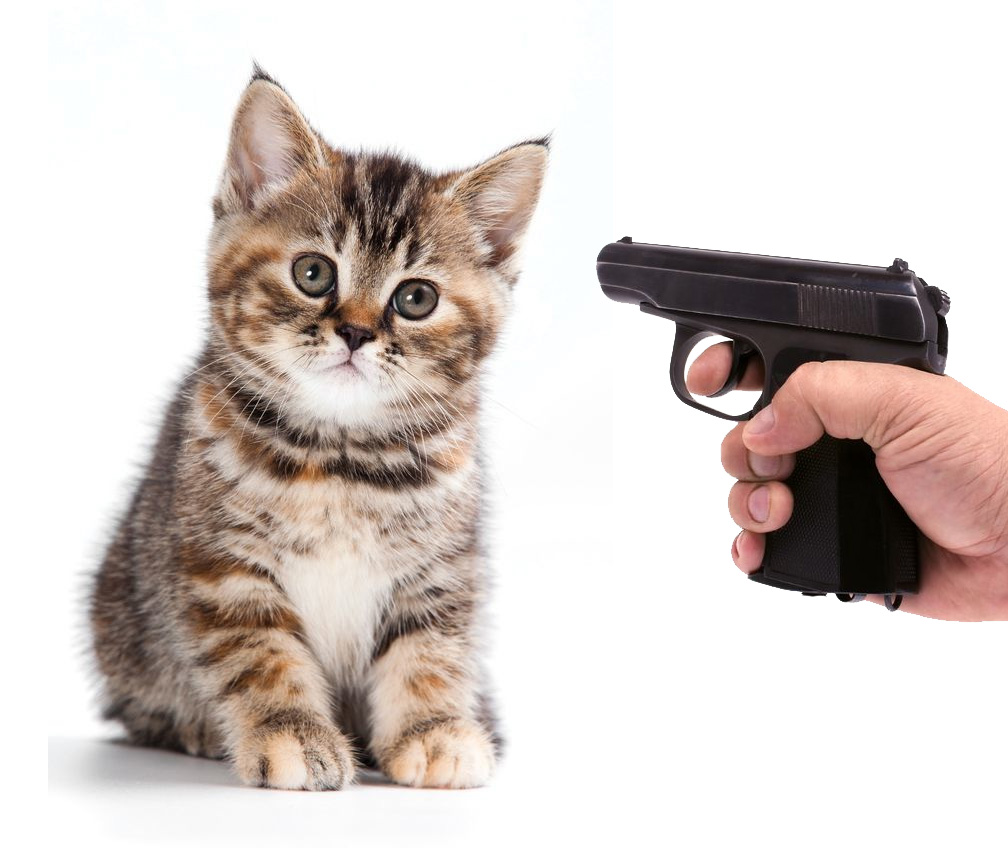 george-zimmerman-kills-neighborhood-kitten1.jpg