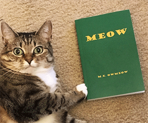 meow-book.gif